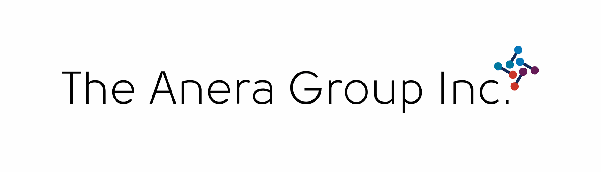 The Anera Group Inc.